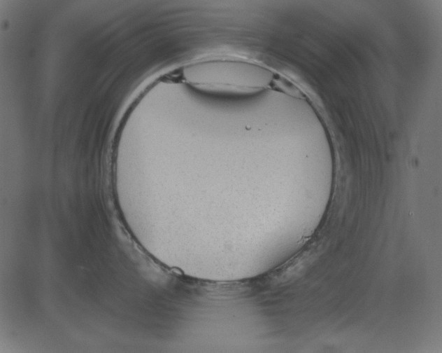 X0000081291008200702012239