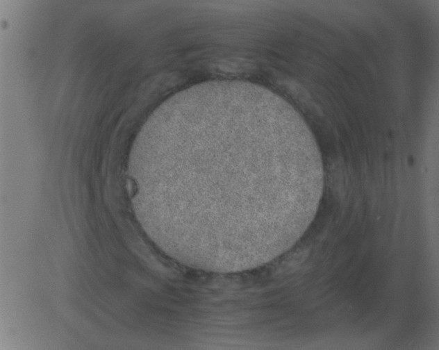 X0000081291009200702012239