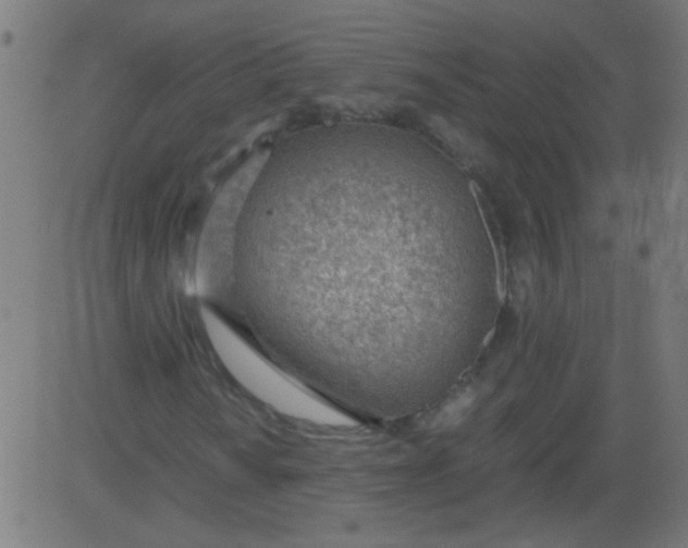 X0000081291010200702012239