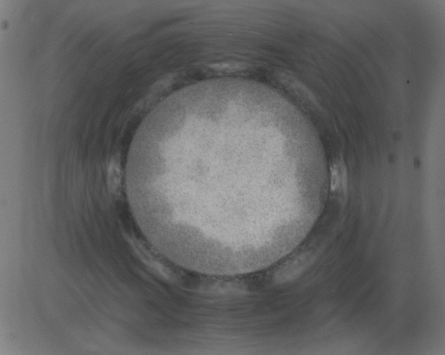 X0000081291011200702012239