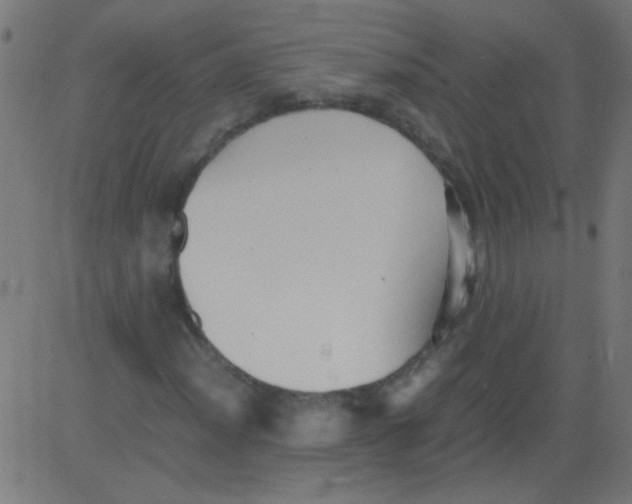 X0000081291012200702012239