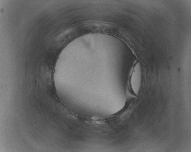 X0000081291013200702012239