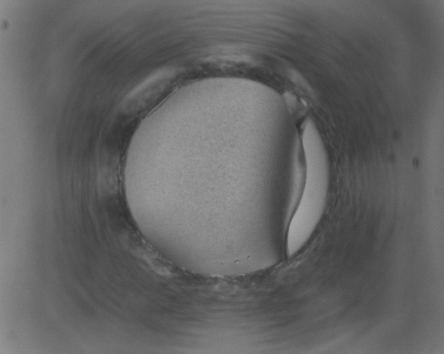 X0000081291014200702012239