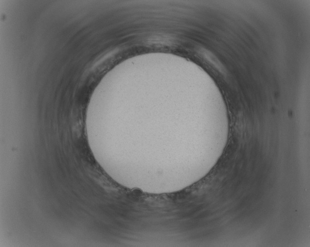 X0000081291015200702012239