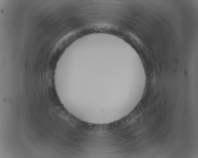 X0000081291016200702012239