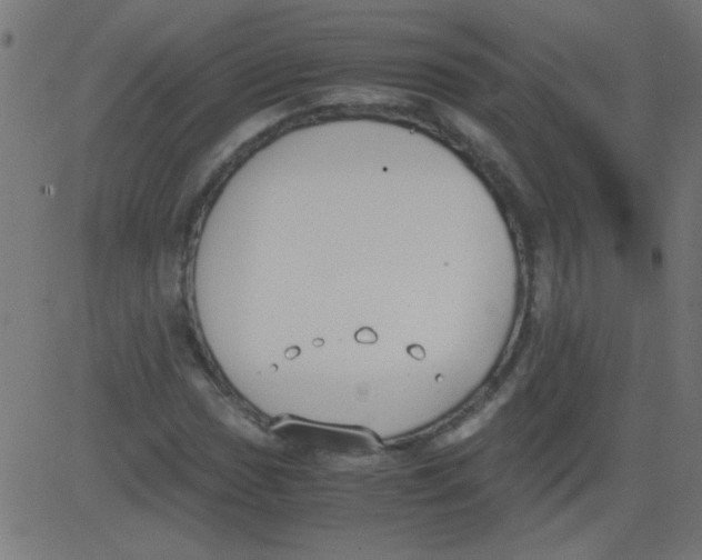 X0000081291017200702012239