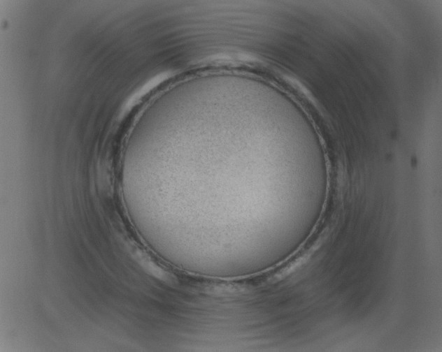 X0000081291018200702012239