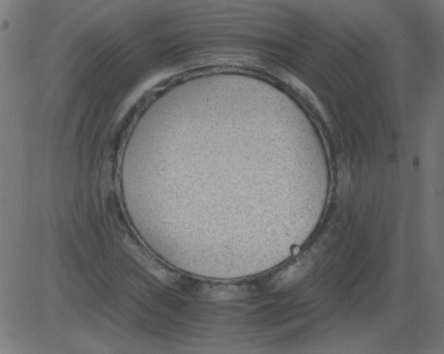 X0000081291019200702012239