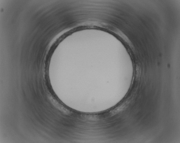 X0000081291020200702012239