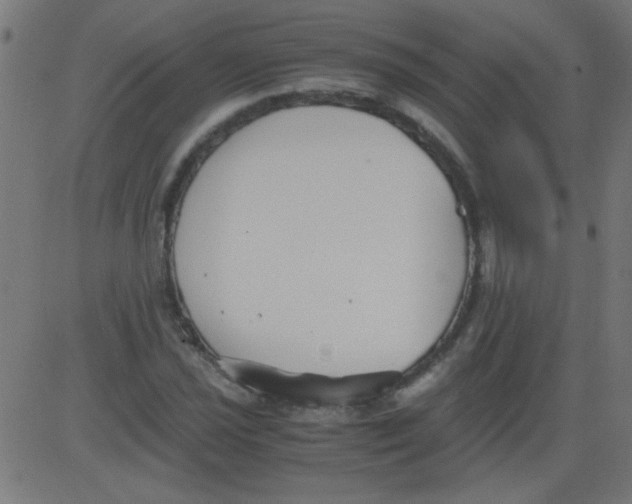 X0000081291021200702012239