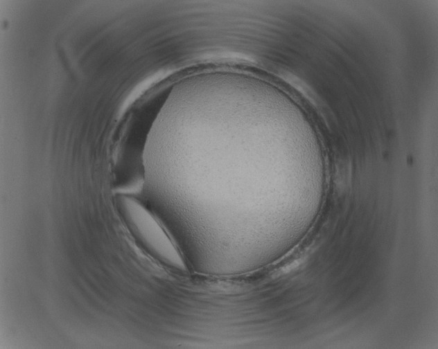 X0000081291022200702012239