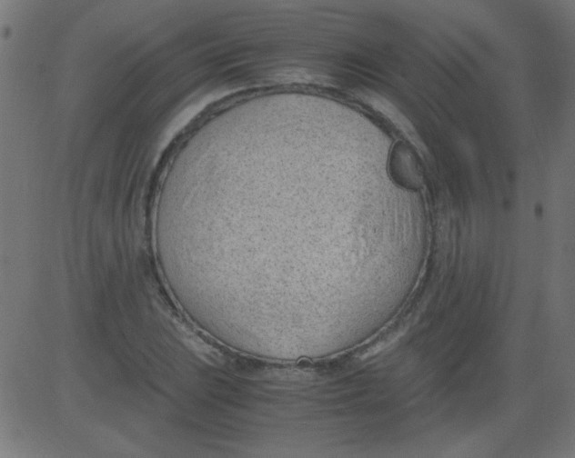 X0000081291023200702012239