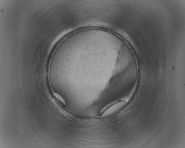 X0000081291024200702012239