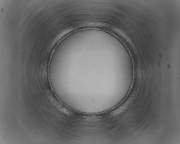 X0000081291025200702012239