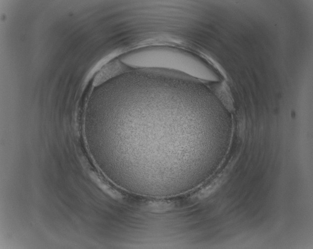 X0000081291026200702012239