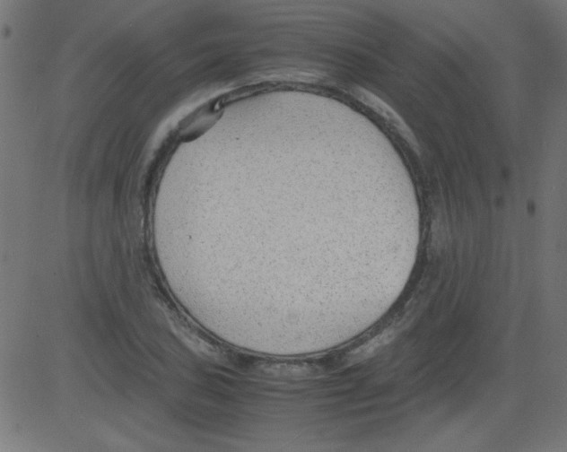 X0000081291027200702012239