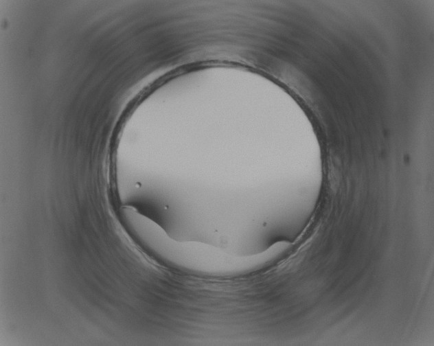 X0000081291028200702012239