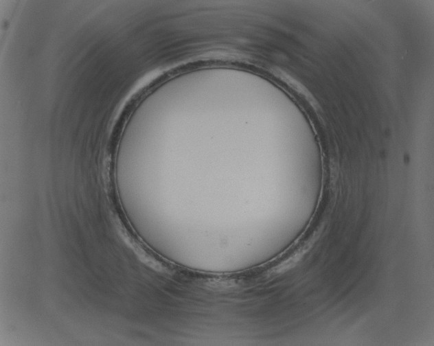 X0000081291029200702012239