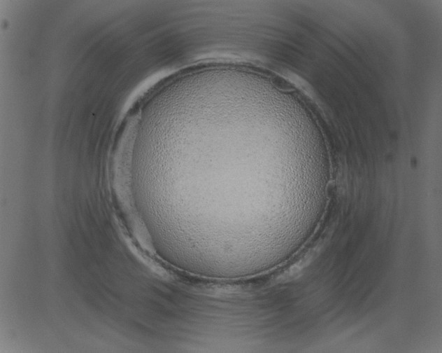 X0000081291030200702012239