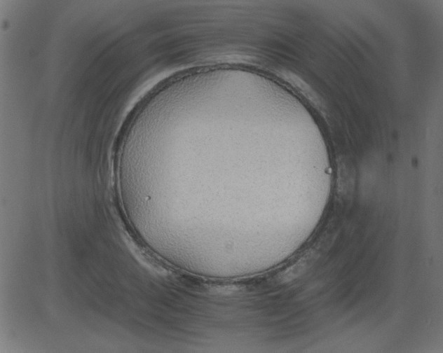 X0000081291031200702012239