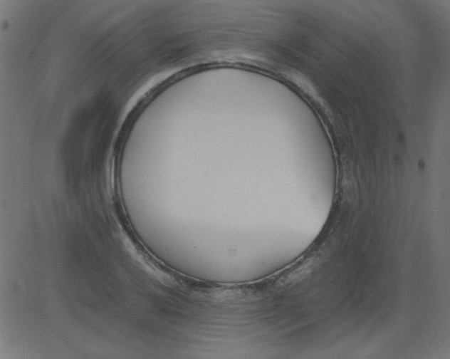 X0000081291032200702012239