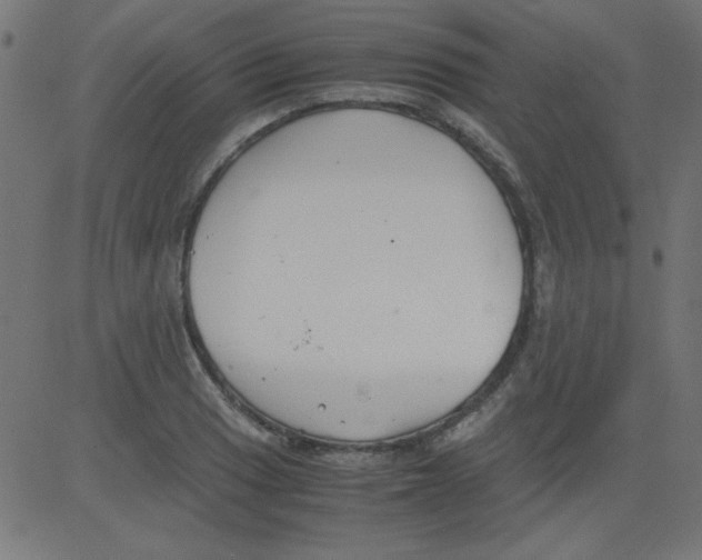 X0000081291033200702012239