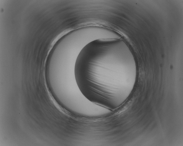 X0000081291034200702012239