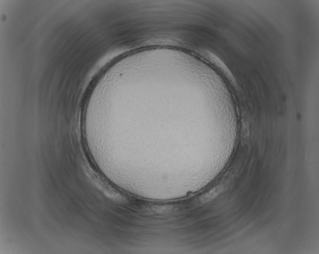 X0000081291035200702012239