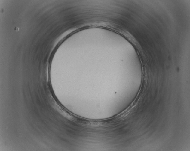 X0000081291036200702012239