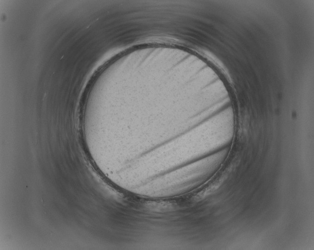 X0000081291037200702012239