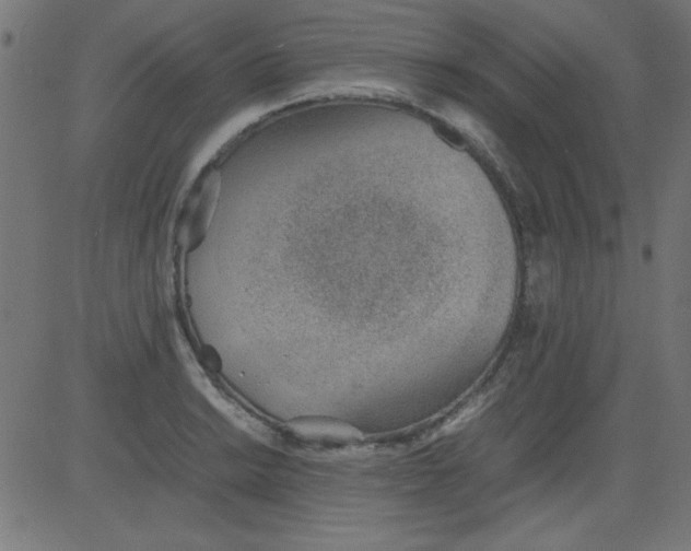 X0000081291038200702012239