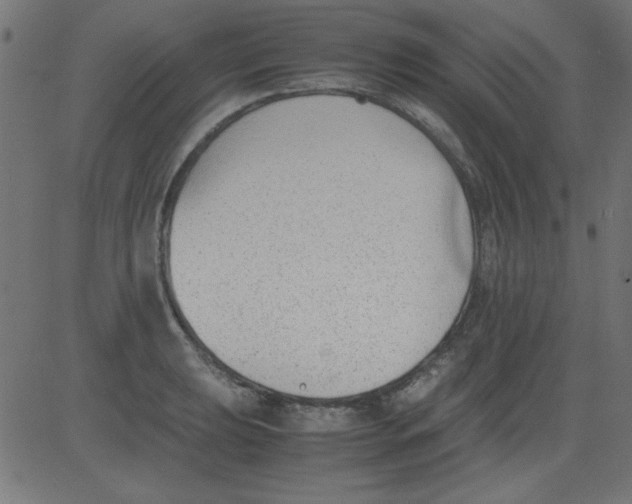 X0000081291039200702012239