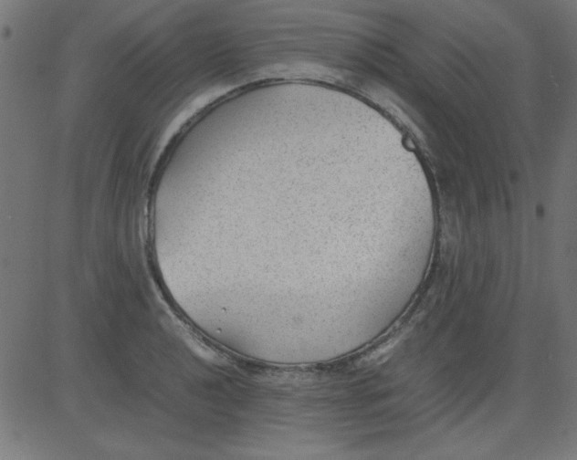 X0000081291040200702012239