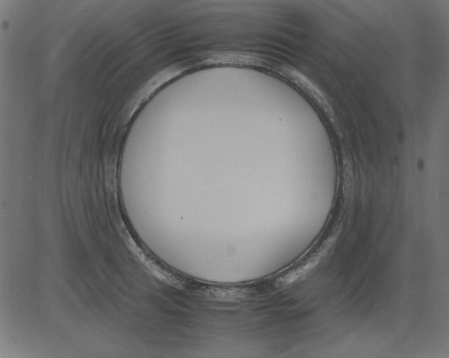 X0000081291041200702012239