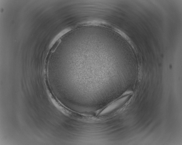 X0000081291042200702012239