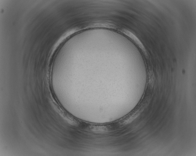 X0000081291043200702012239