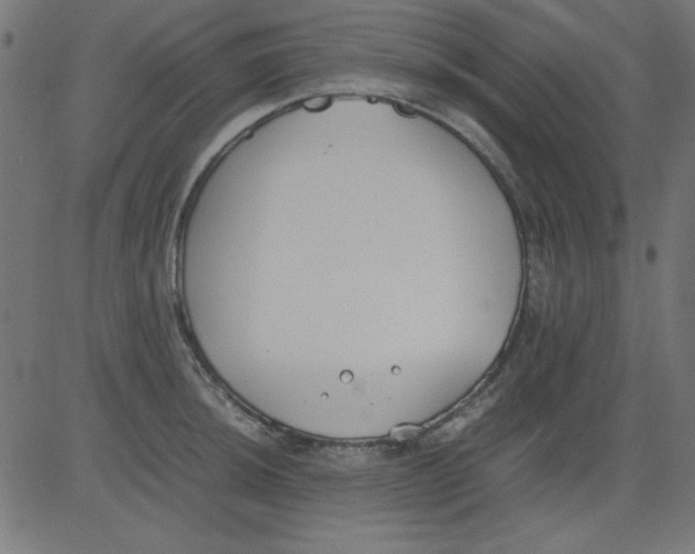 X0000081291044200702012239