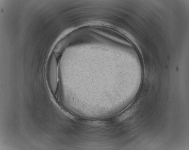 X0000081291045200702012239