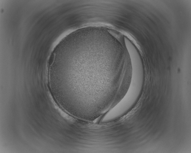 X0000081291046200702012239