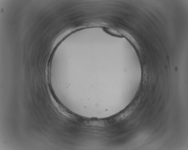 X0000081291047200702012239