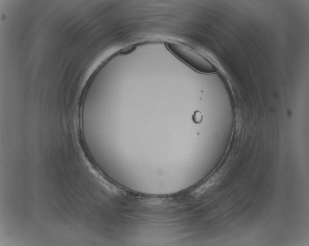 X0000081291048200702012239