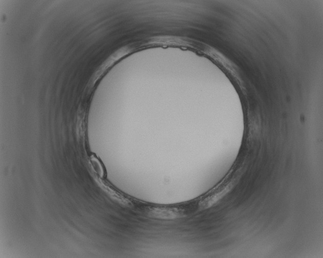 X0000081291049200702012239