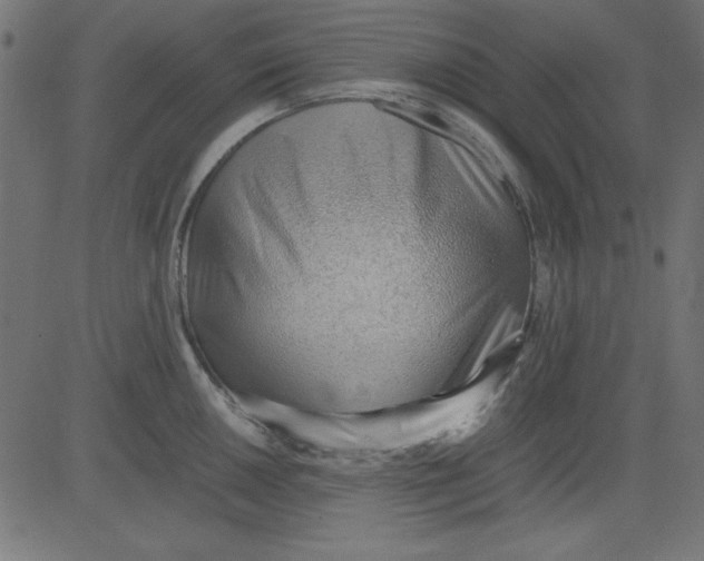 X0000081291050200702012239