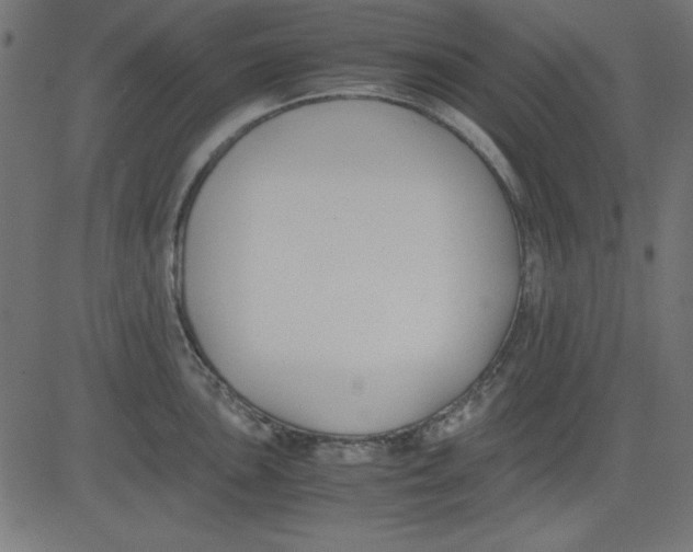 X0000081291051200702012239