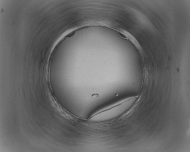 X0000081291052200702012239