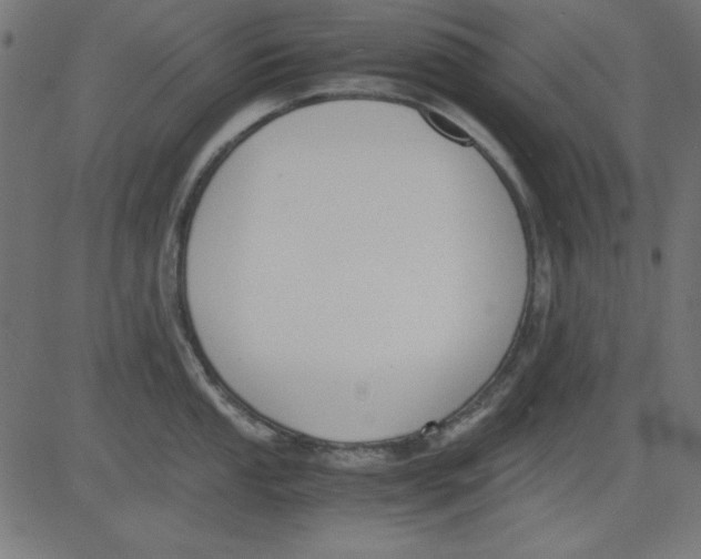 X0000081291053200702012239