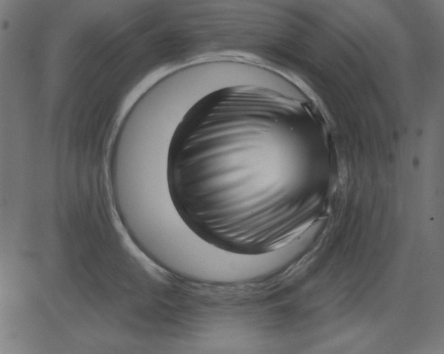 X0000081291054200702012239