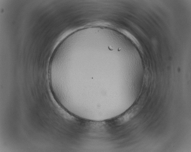 X0000081291055200702012239