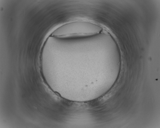 X0000081291056200702012239