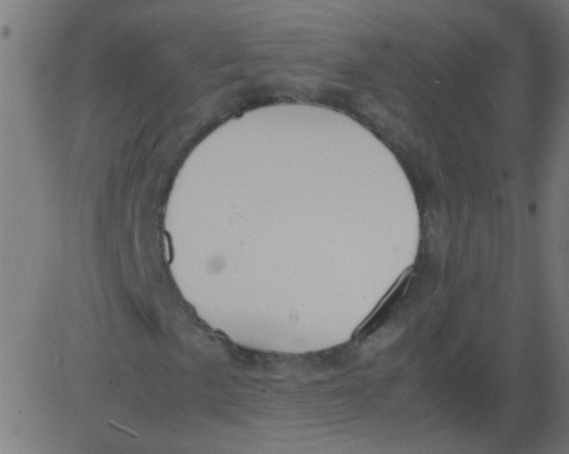 X0000081291057200702012239